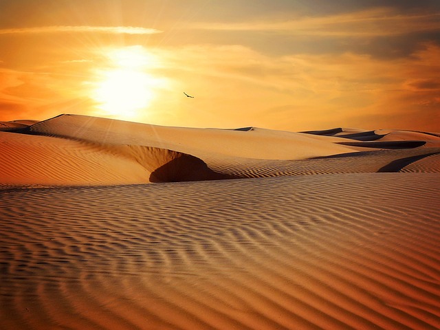 Sand dunes stretching into the horizon under a vibrant sunset, casting long shadows.